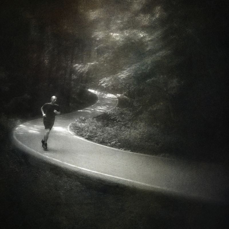 чб, лес, бег Утром. фото превью