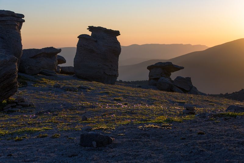 Рассвет на Поляне каменных грибов фото превью