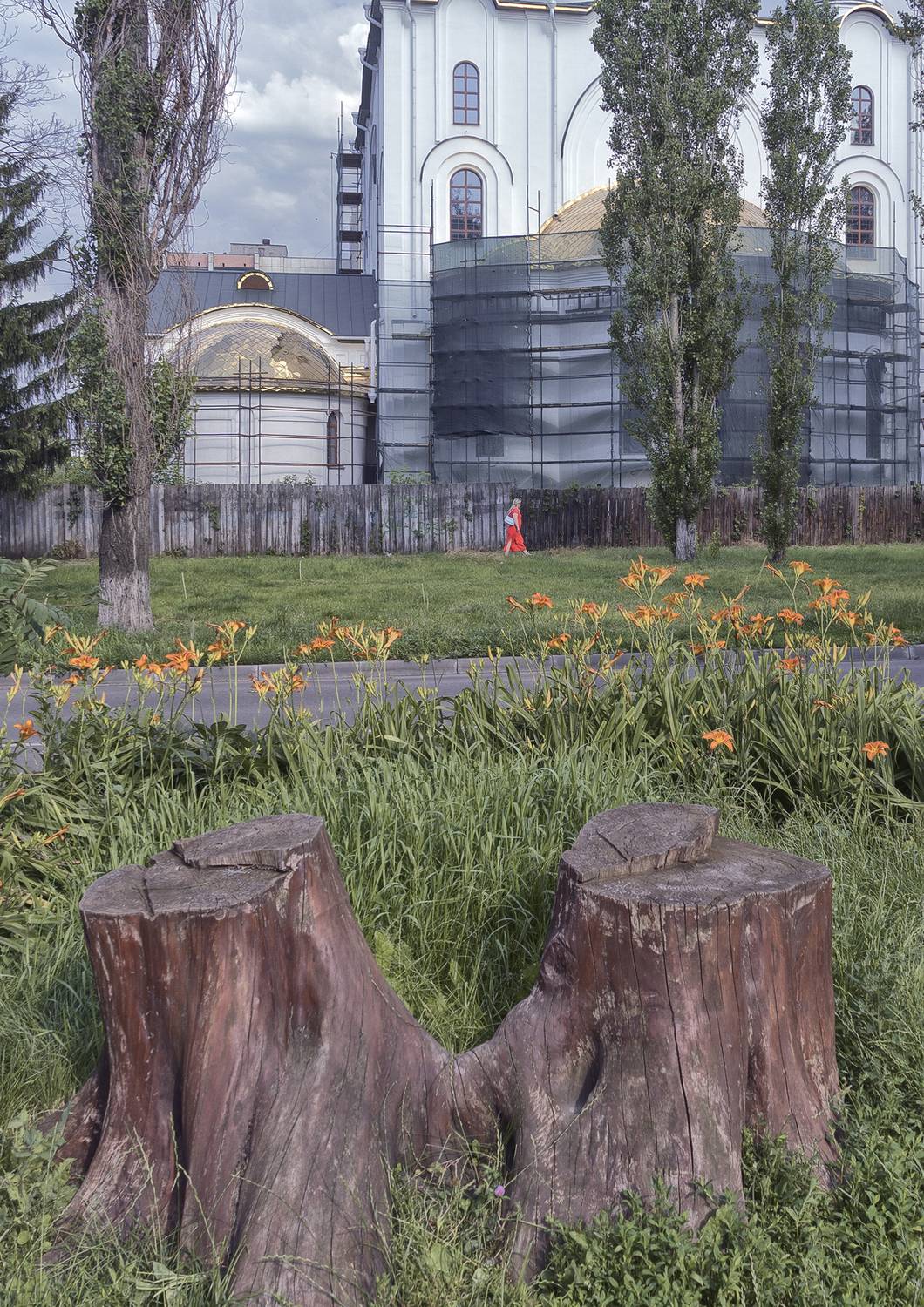 , Каменев Виталий