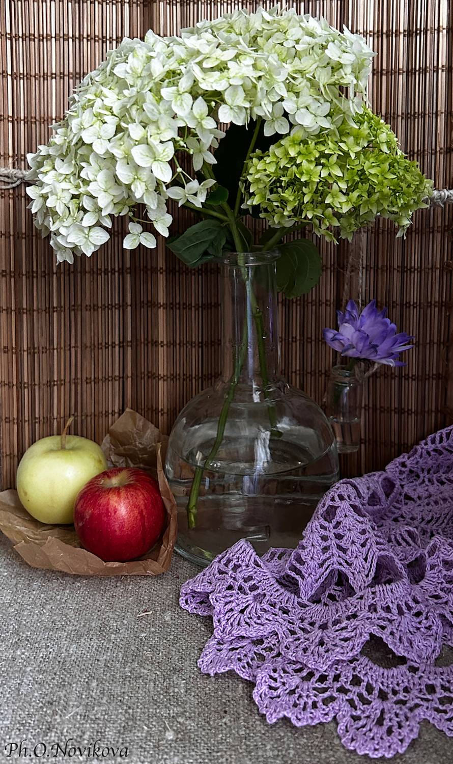 , Новикова Ольга