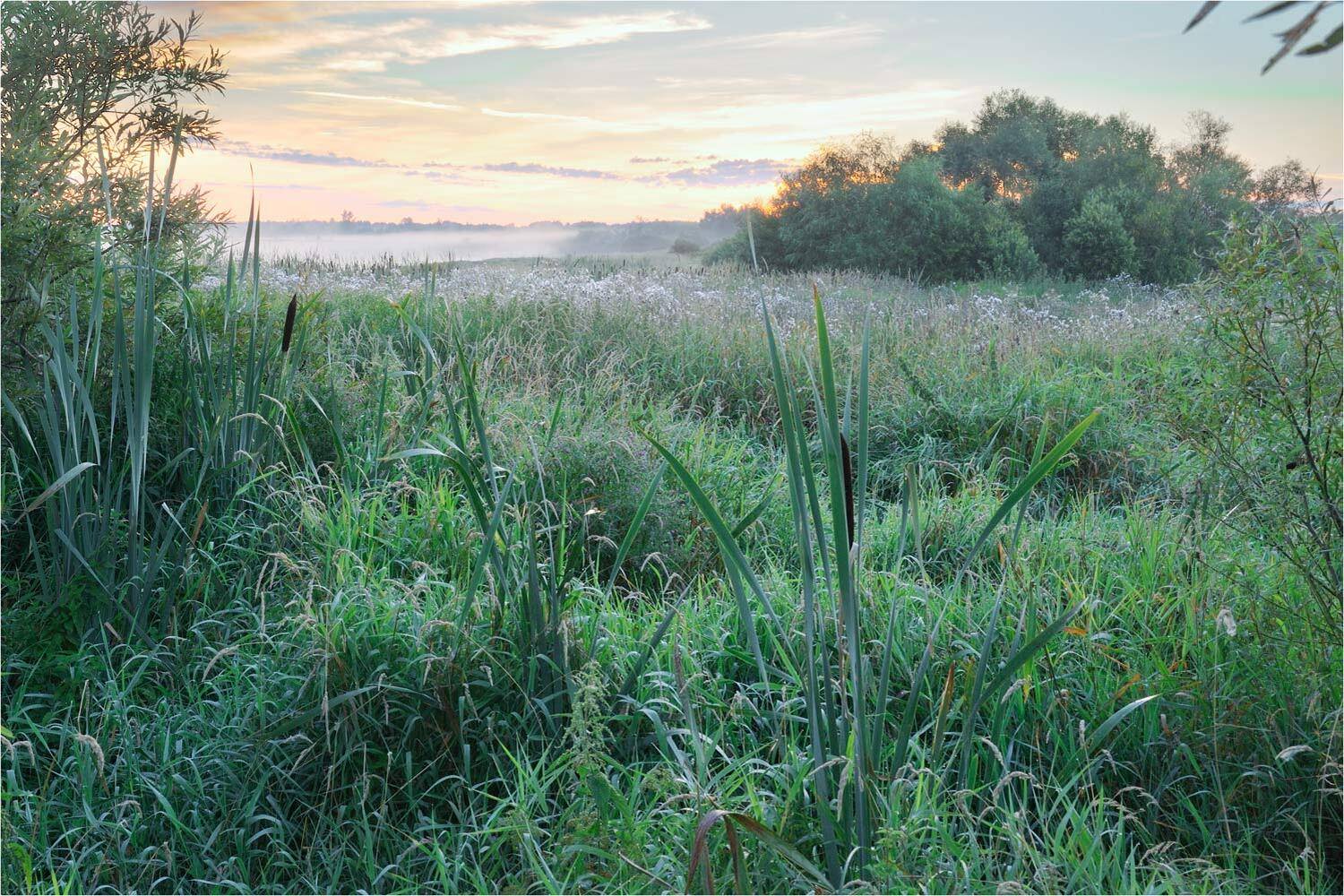 , Анатолий Гулин