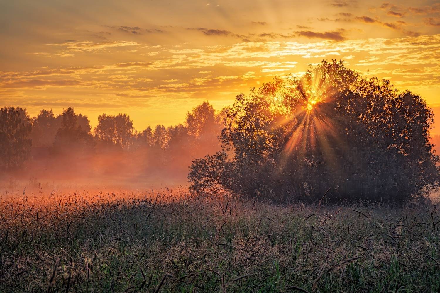 , Евгений Ерохин