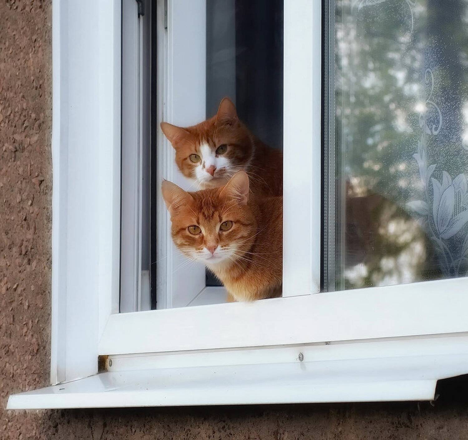 , Сергей Клапишевский