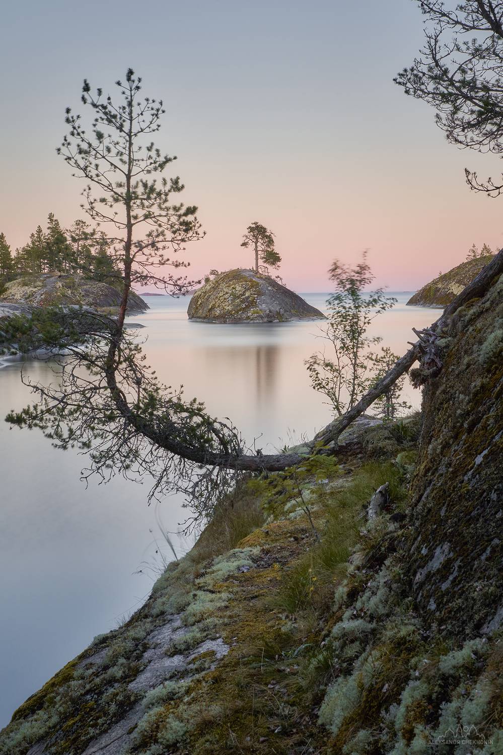 , Чехонин Александр