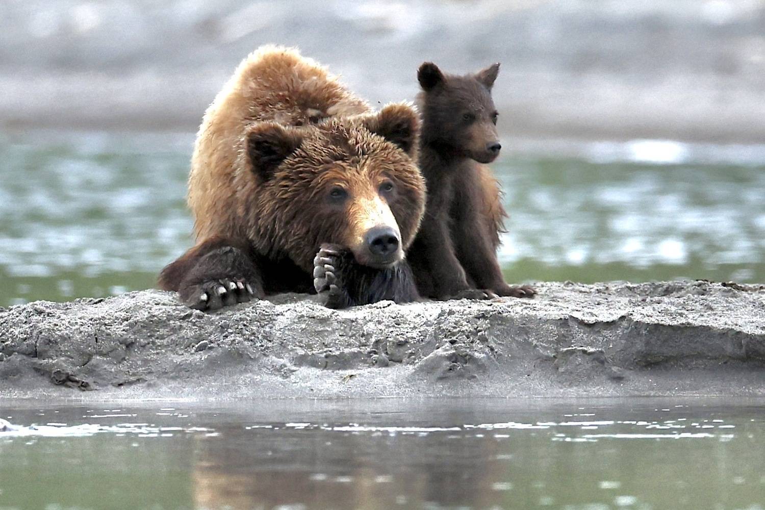 , Голубков Леонид