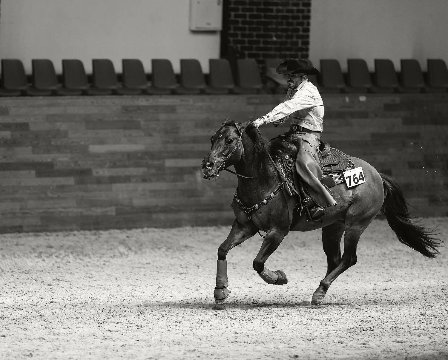 соревнования,вестерн,спорт,репортаж ,horse, competition,movement ,sport, Стукалова Юлия