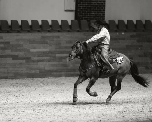 Ковбойский вихрь свободы