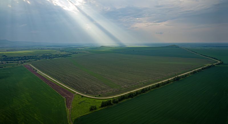 поля алтая Луч солнца в дорожной петле... фото превью