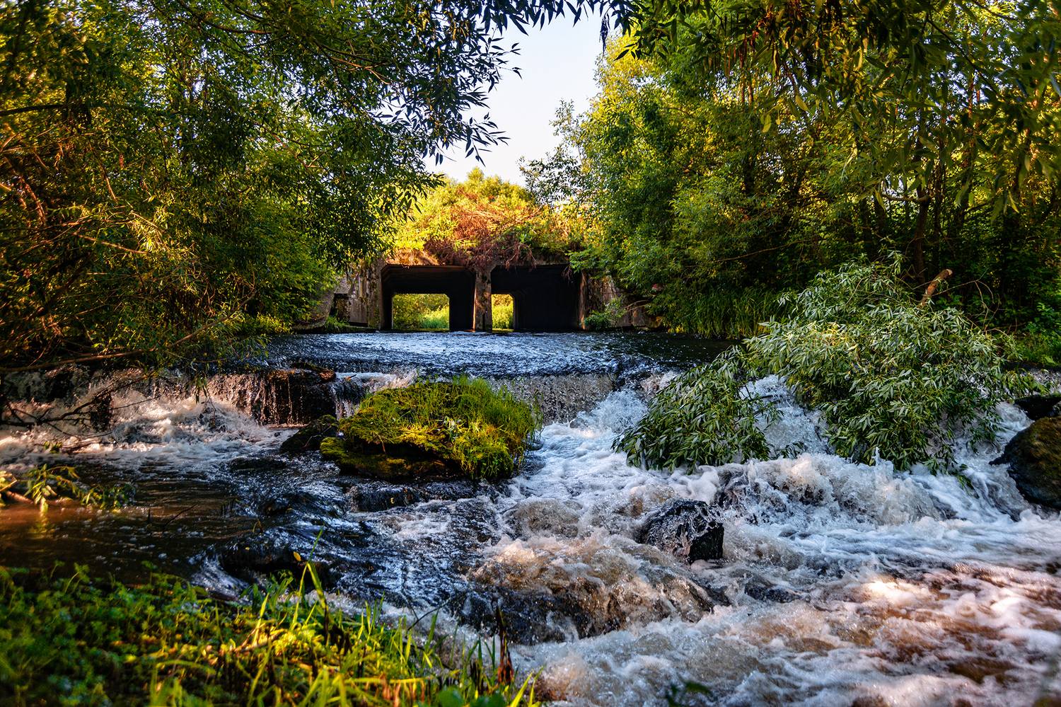 , Владимир Ноздрачев
