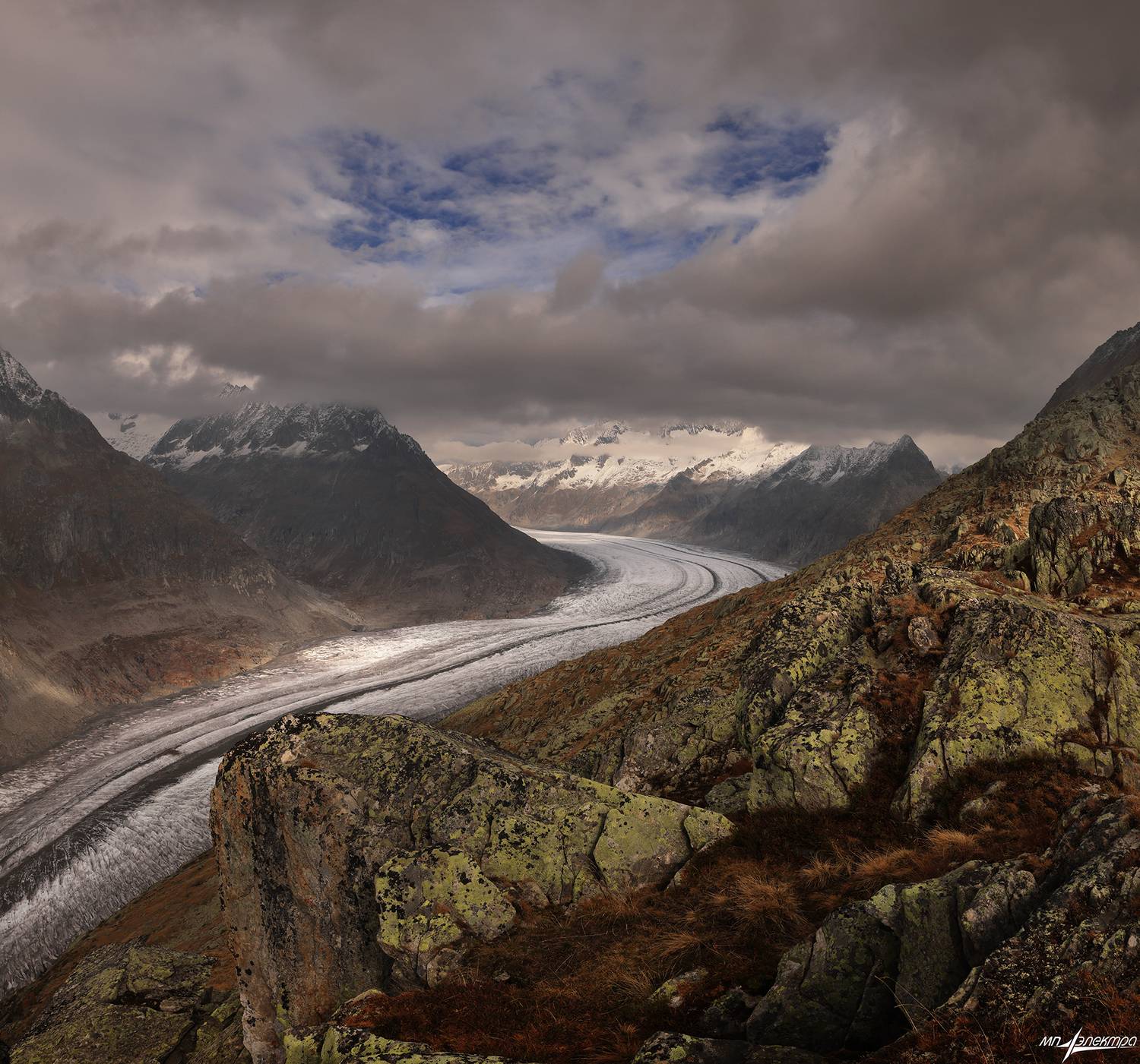 swiss, Матвеев Николай