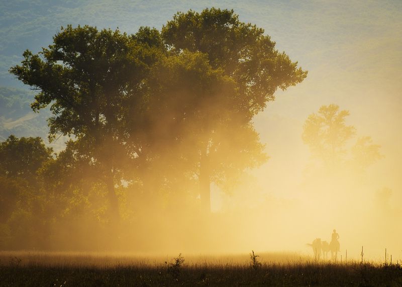 2015 фото превью