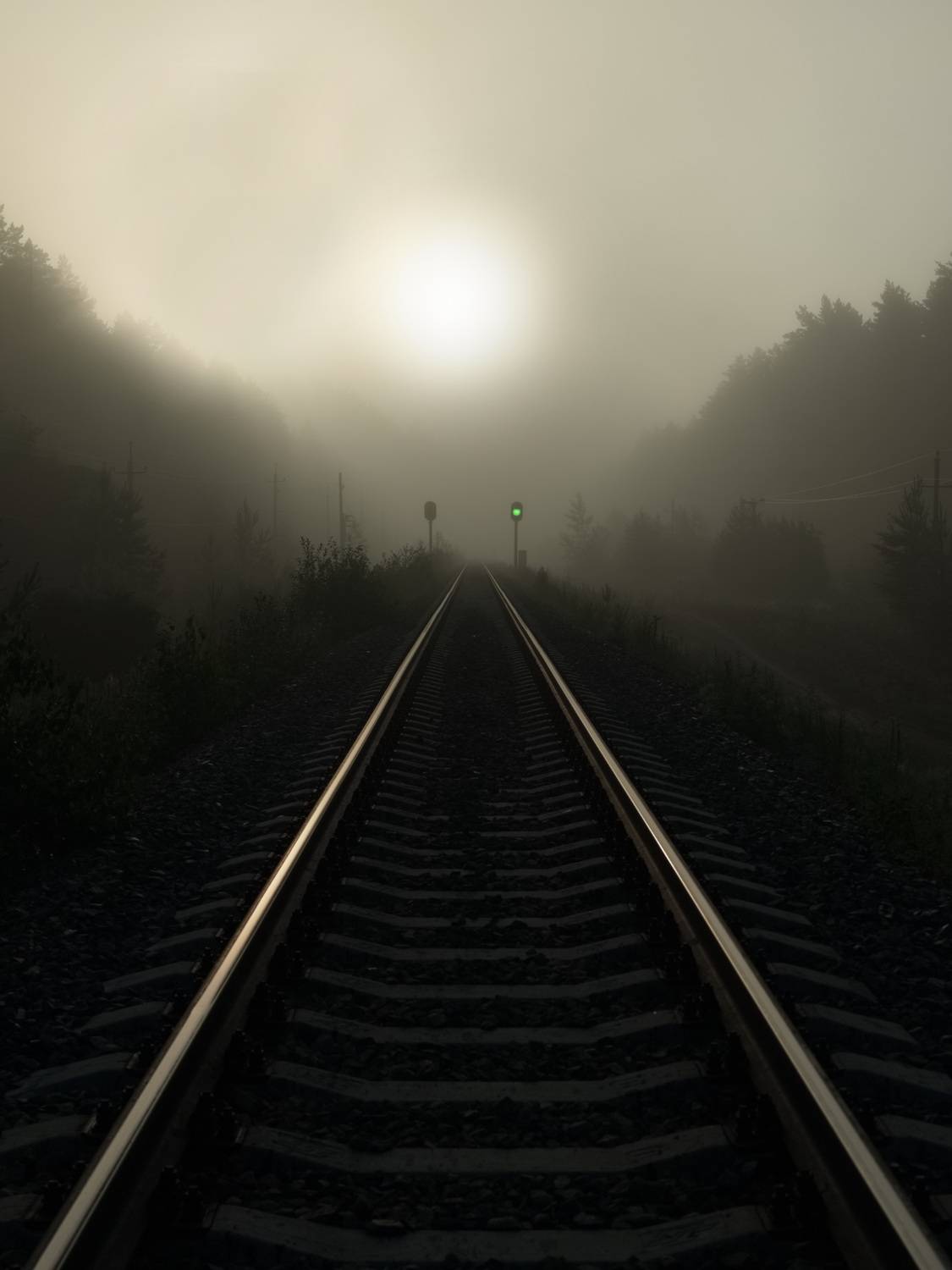 , Кузнецов Дмитрий