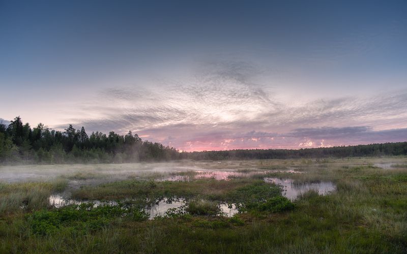 Галкинское болото фото превью