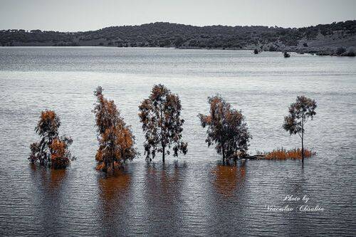 Одинокие, но вместе...