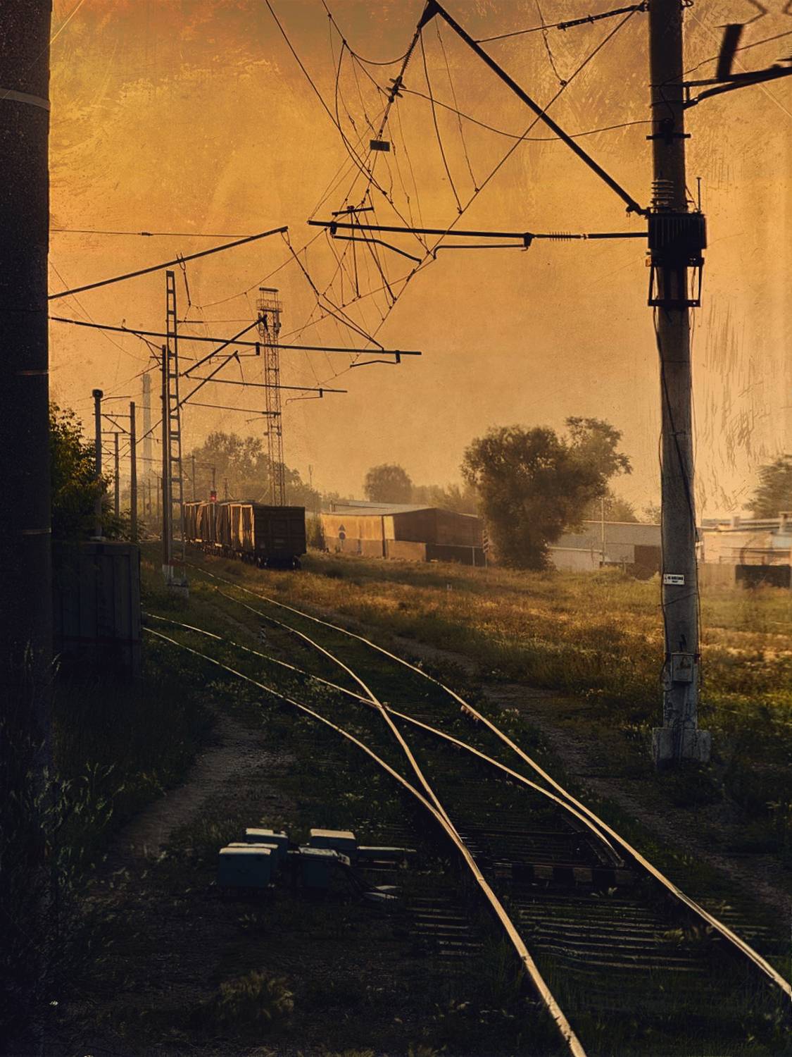 , Владимир Осауленко