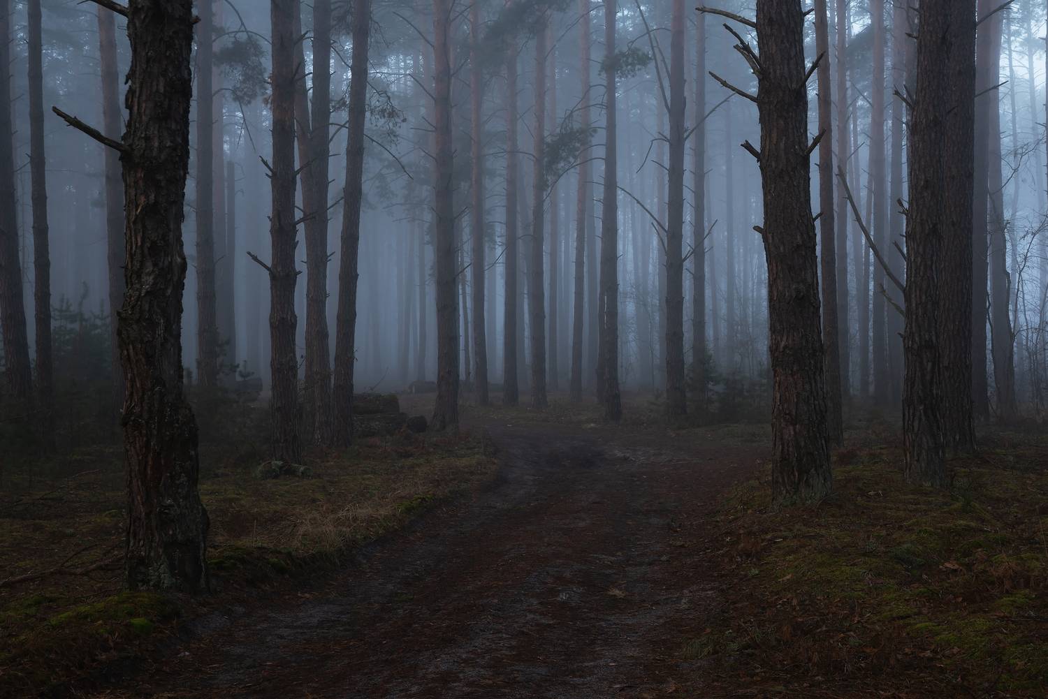 , Захаров Дмитрий