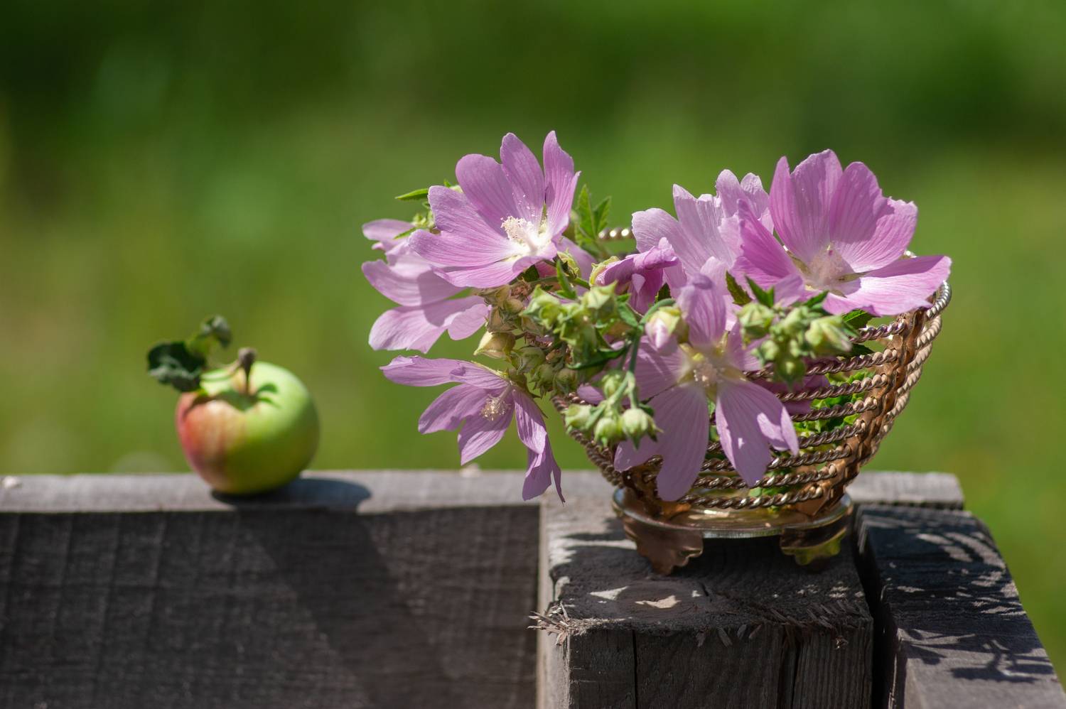 , Елена Павлюк