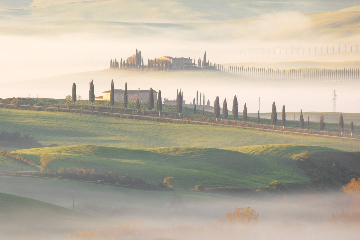 , Евгения Чех