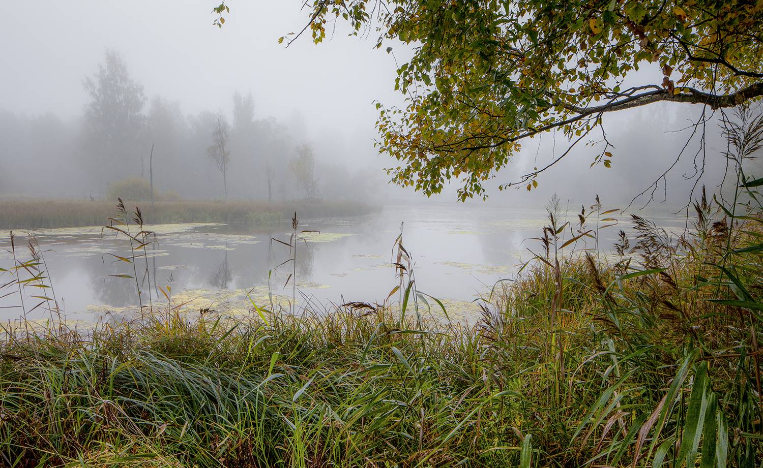,  александр михайлов