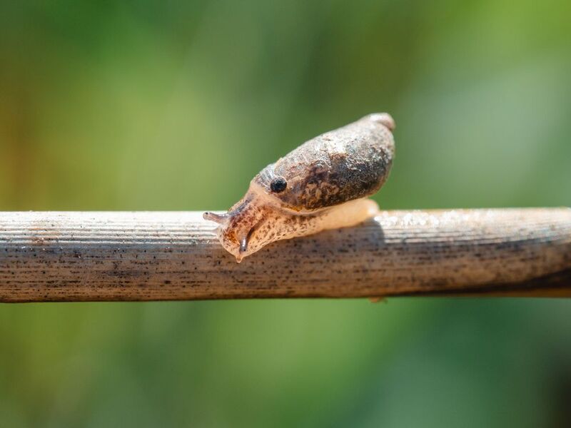 Long way фото превью