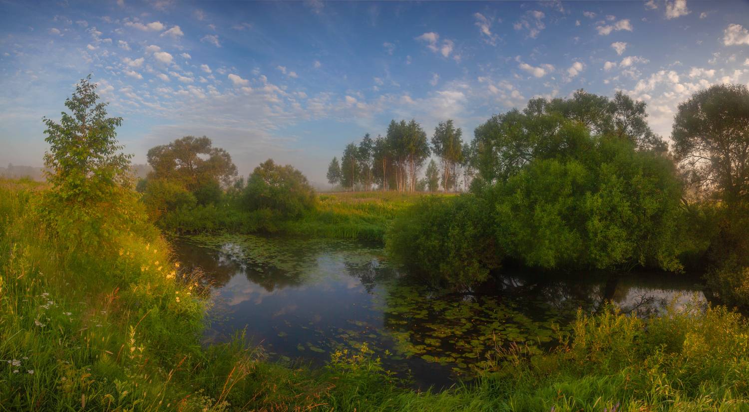 река, туман , лес, Свистков Александр