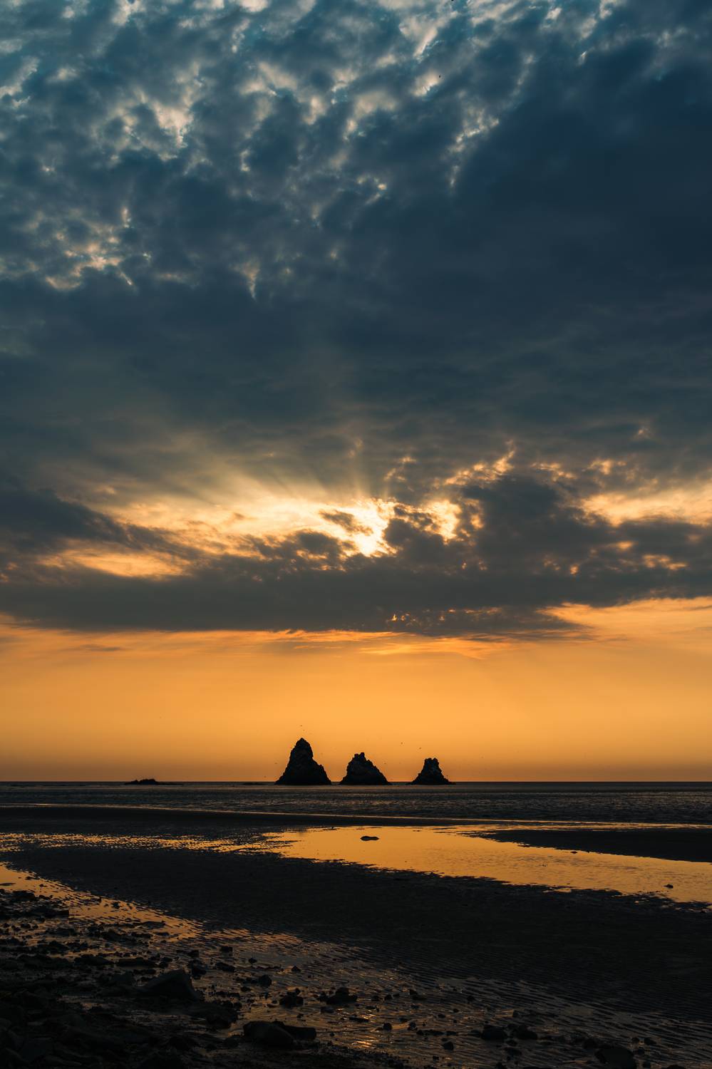 , Антон Сидоров