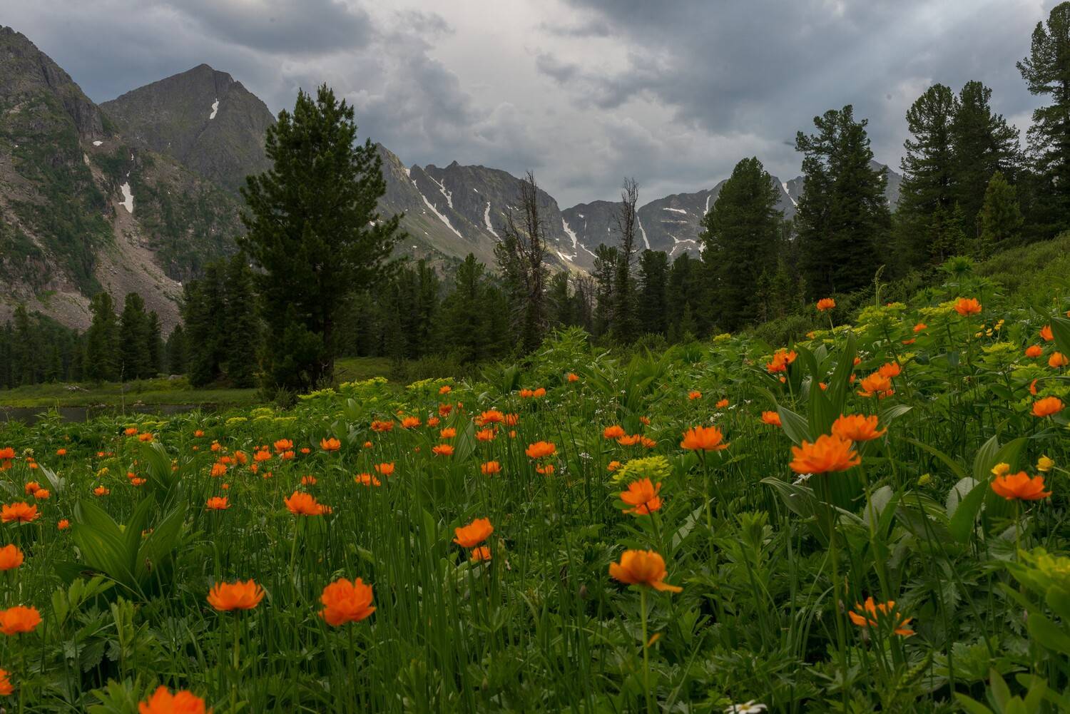 арадан, Беляев Юрий