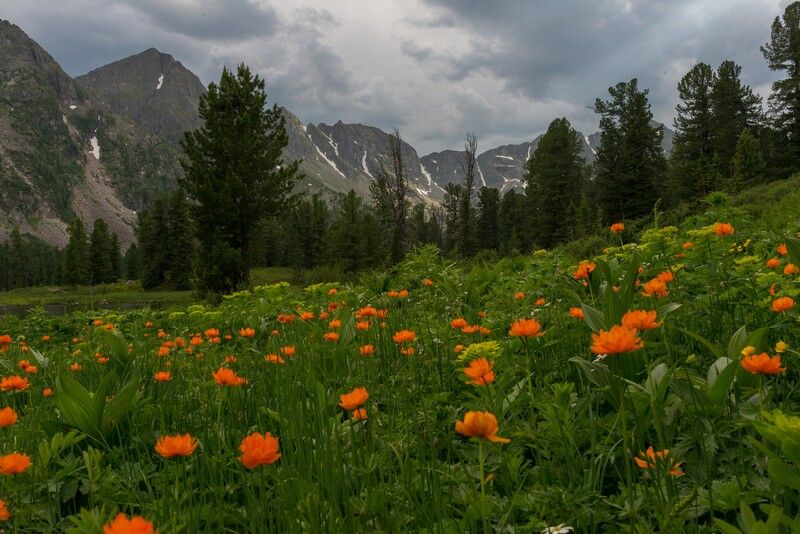 арадан ** * фото превью
