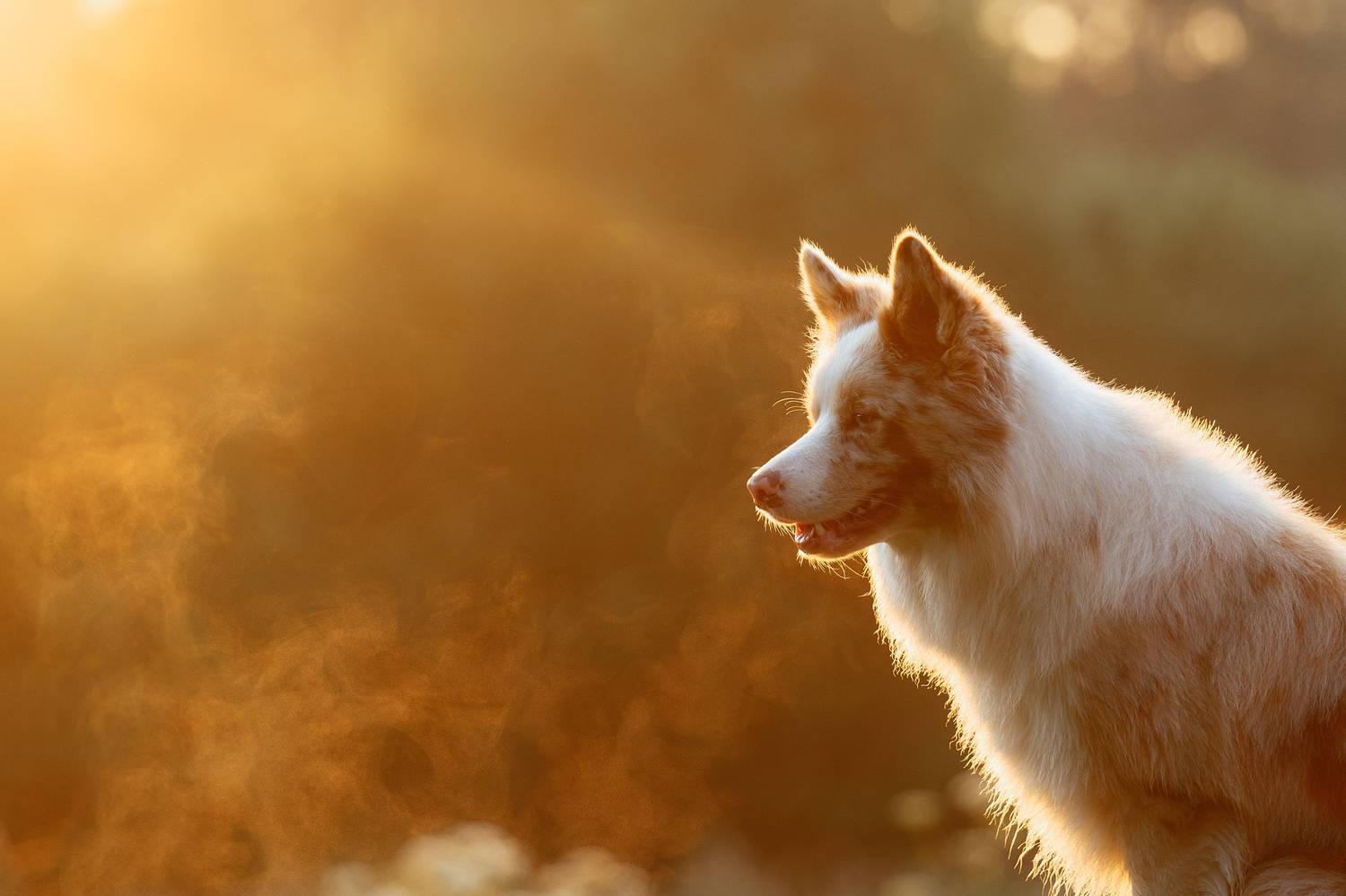 , Мороз Ирина