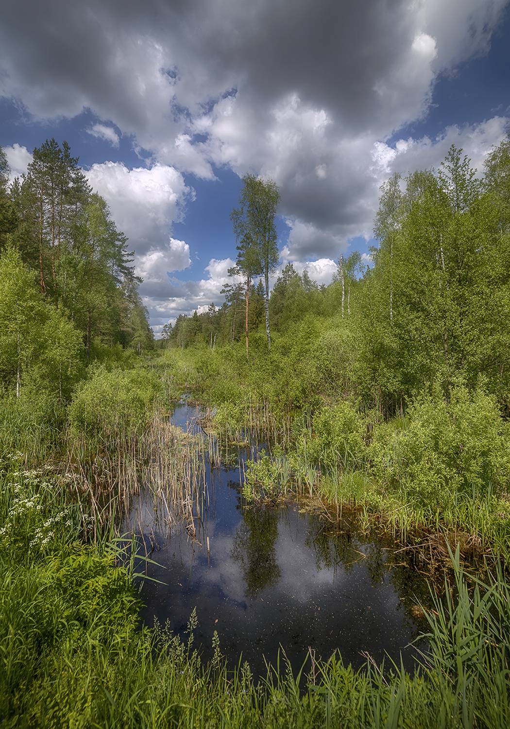 , Сергей Аникин