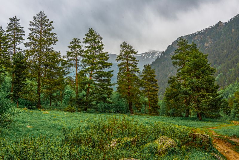 Ущелье реки Чиринкол.КЧР. фото превью