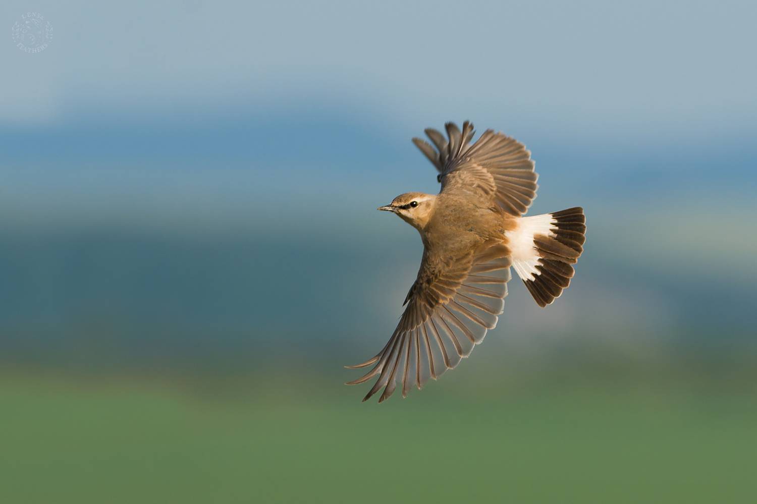 , Евгени Стефанов