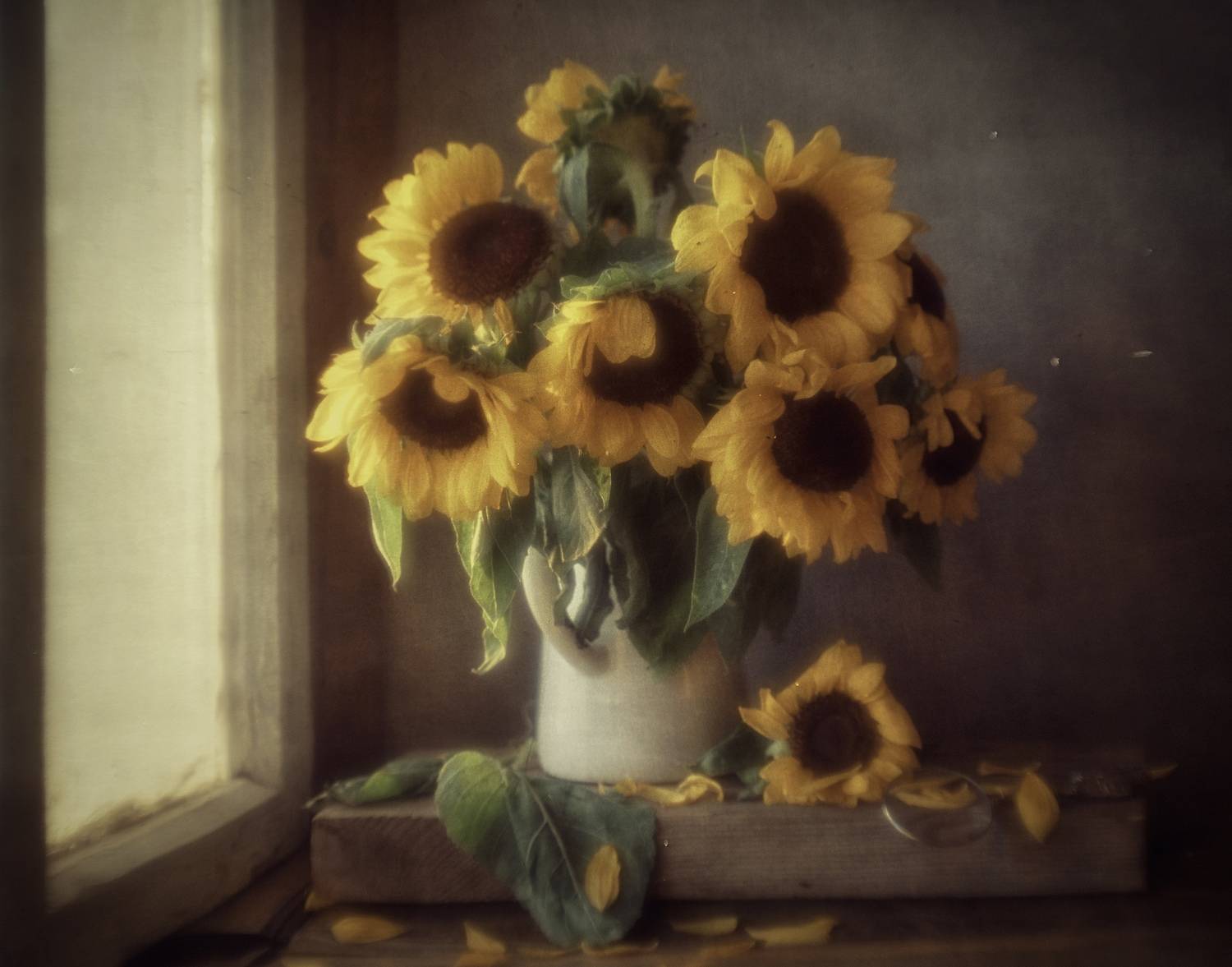 , Viktoriya Shamanova