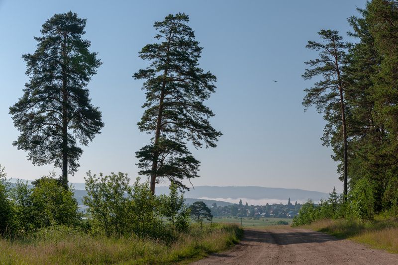 Тирлян в утренней дымке /на муромской дорожке..   фото превью