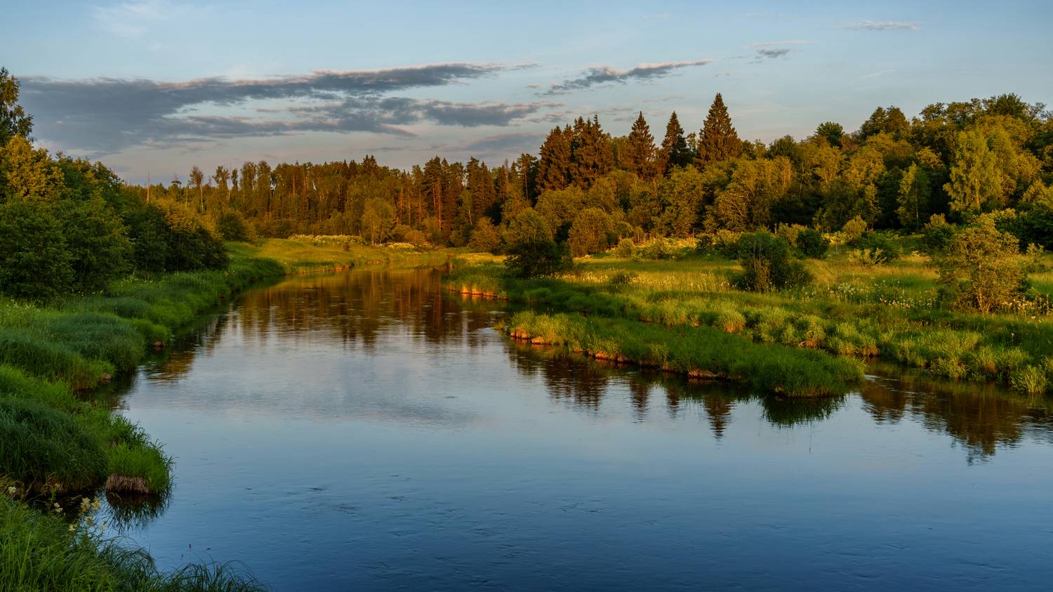 , Добродий Михаил