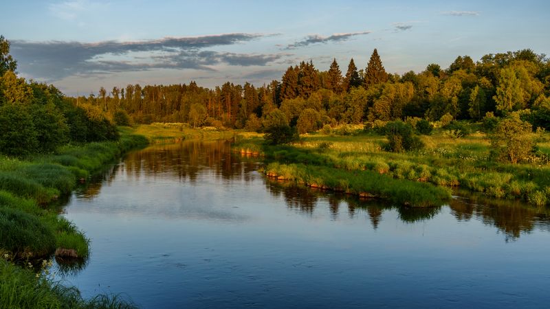 Летний вечер на берегу реки фото превью