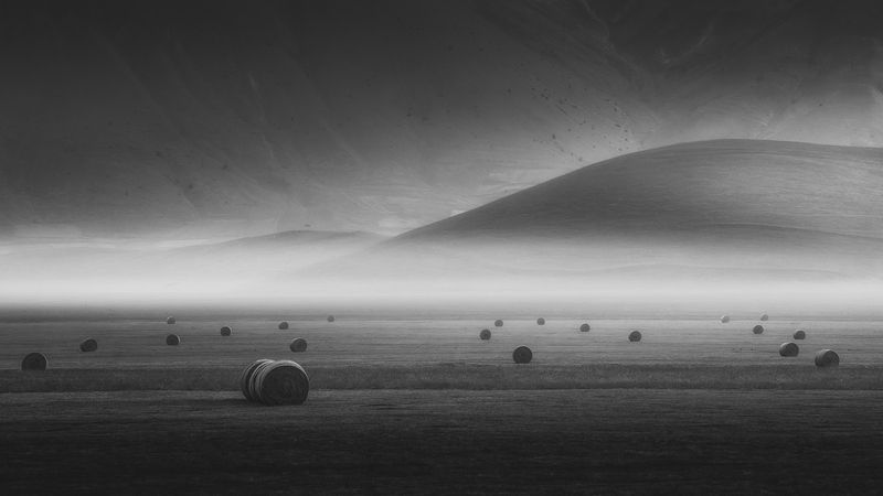 Where Light Sleeps фото превью