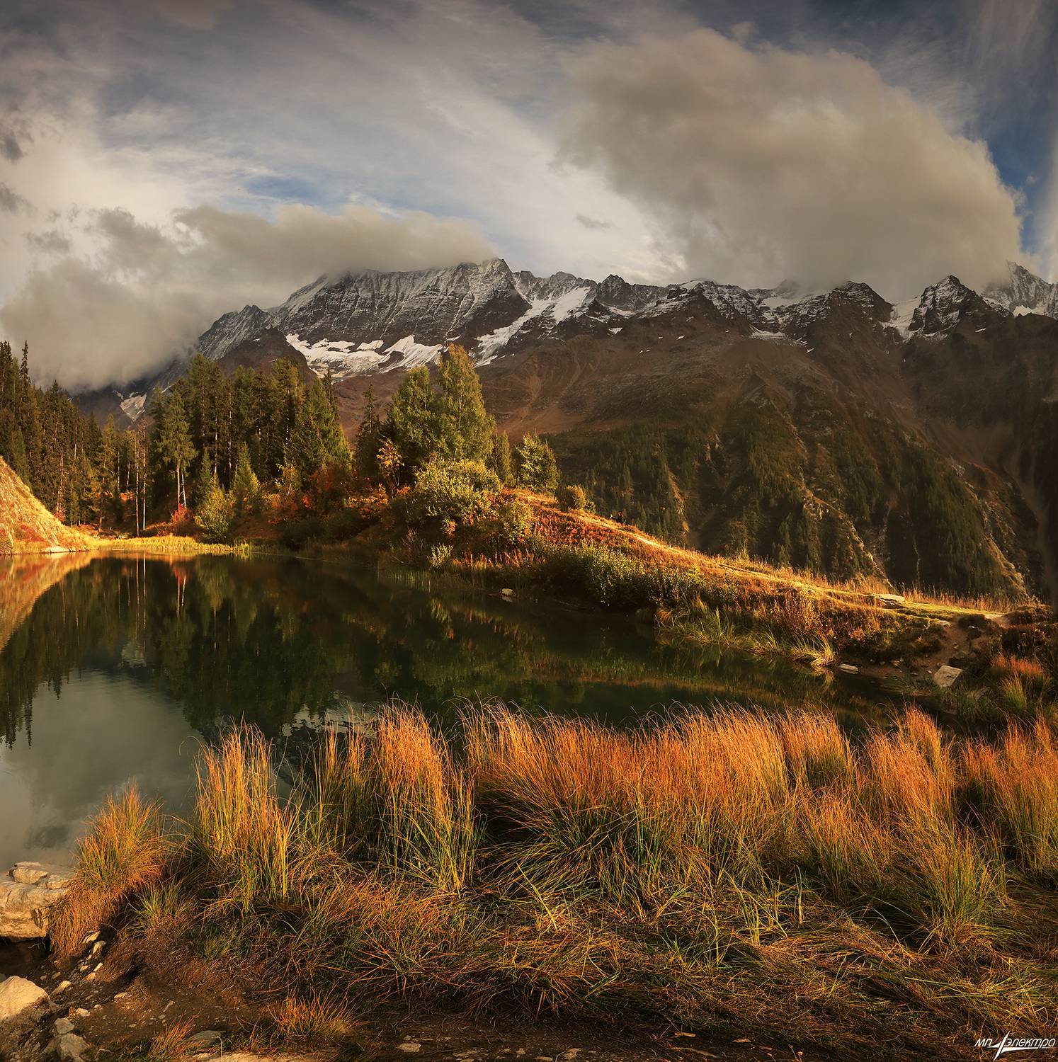 swiss, Матвеев Николай