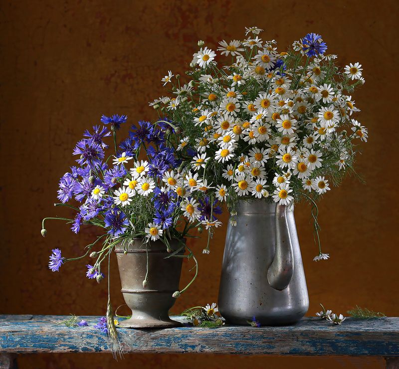 натюрморт, фотонатюрморт, still life, stillifefoto, лето, ромашки, васильки, цветочный_натюрморт, наталья_казанцева Новая жизнь старых вещей фото превью