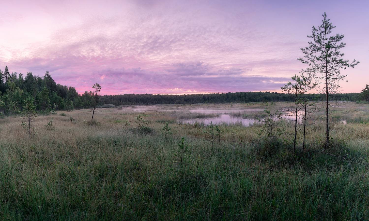 , Загруев Михаил