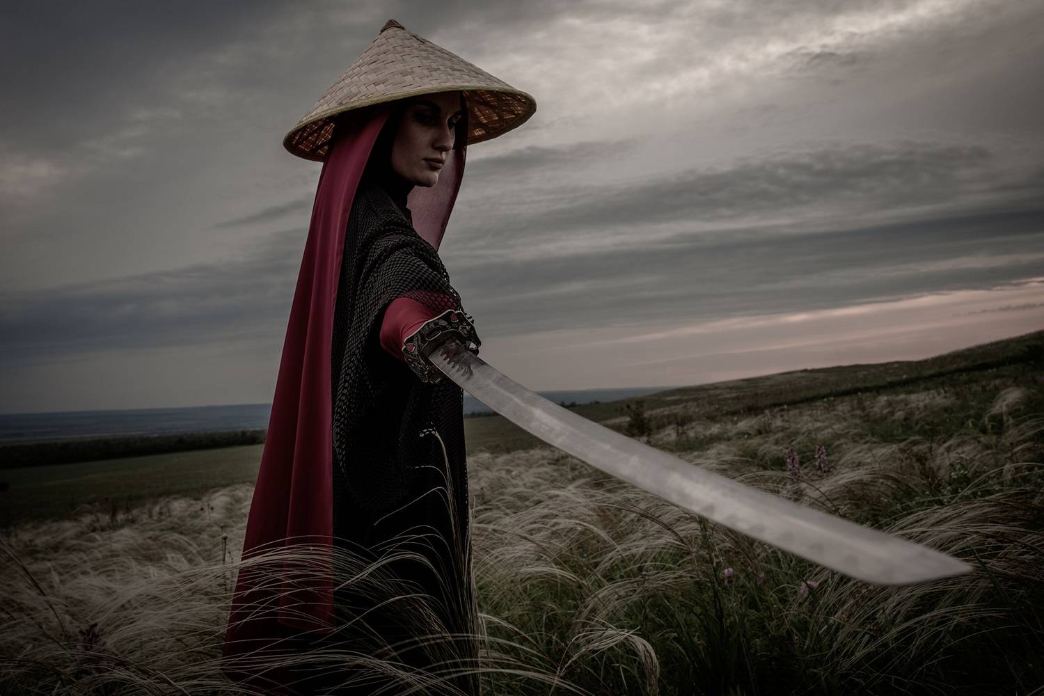 самурай, катана, япония, воин, меч, поле, небо, вечер, закат, Арсен Алабердов