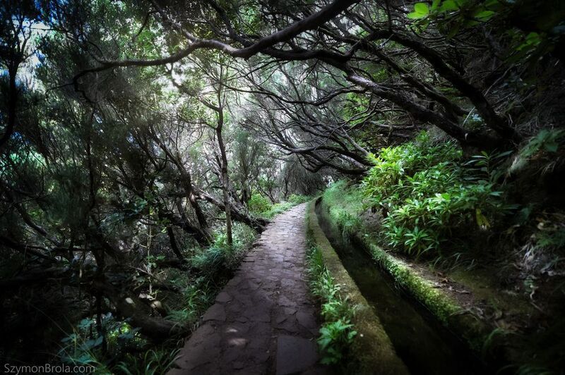 Madeira фото превью