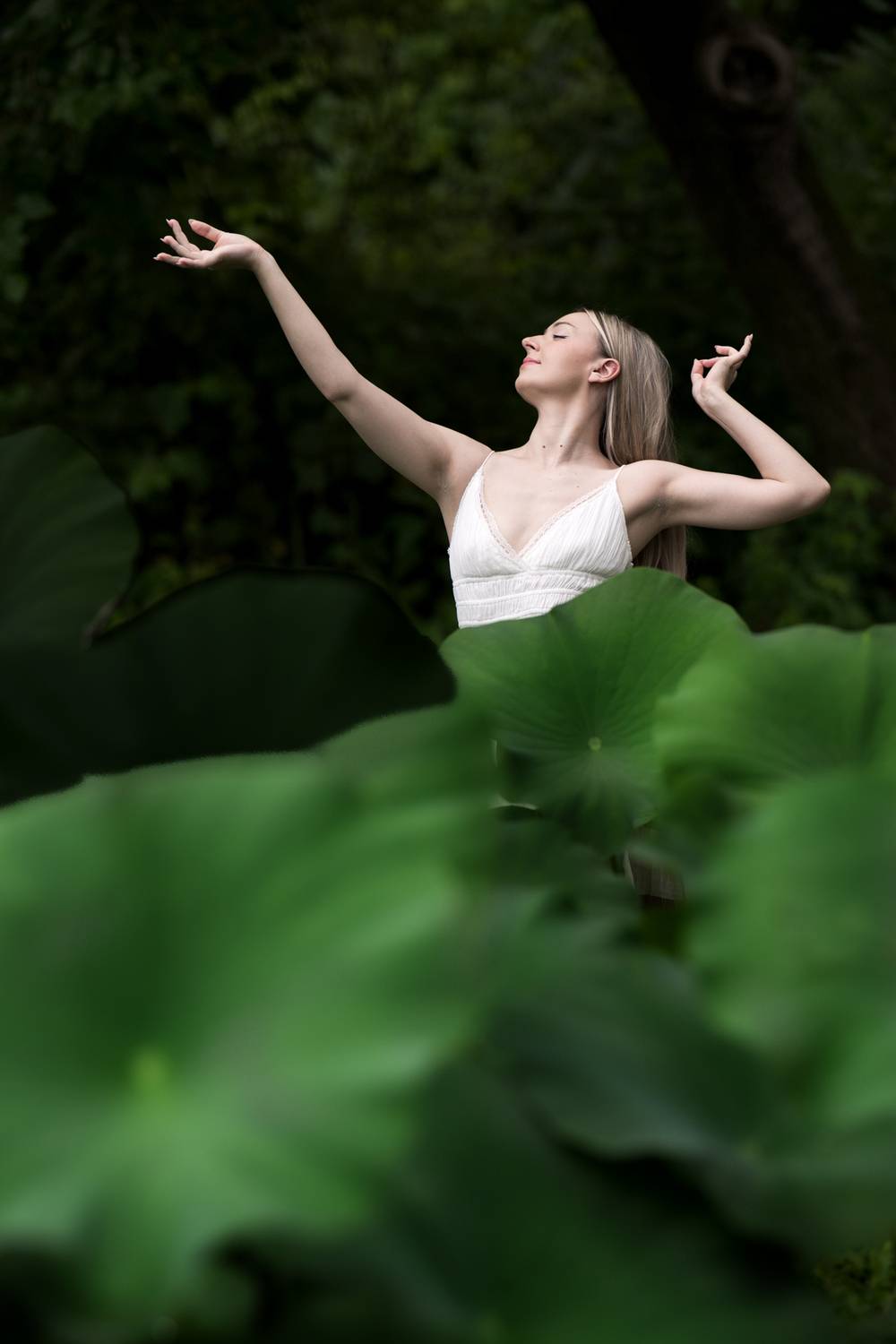 Lotus leaves, lotus, portrait, environmental portrait, Julius LIU