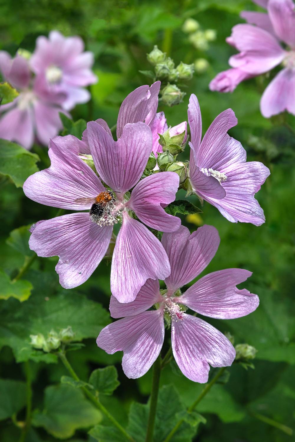 , Ушаков Валерий