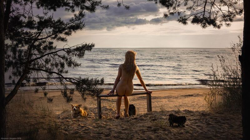 девушка,обнажённая,природа,озеро,собачка,закат,гармония,грация,романтика,настроение Дама с собачками фото превью