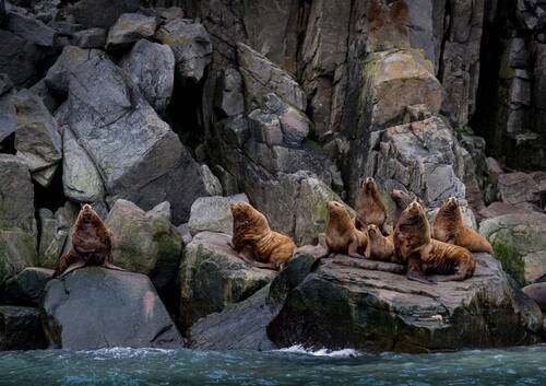 Пляжный отдых по-чукотски