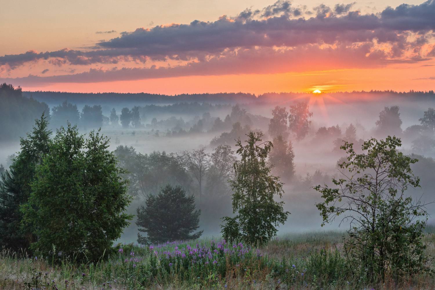 , Евгений Ерохин