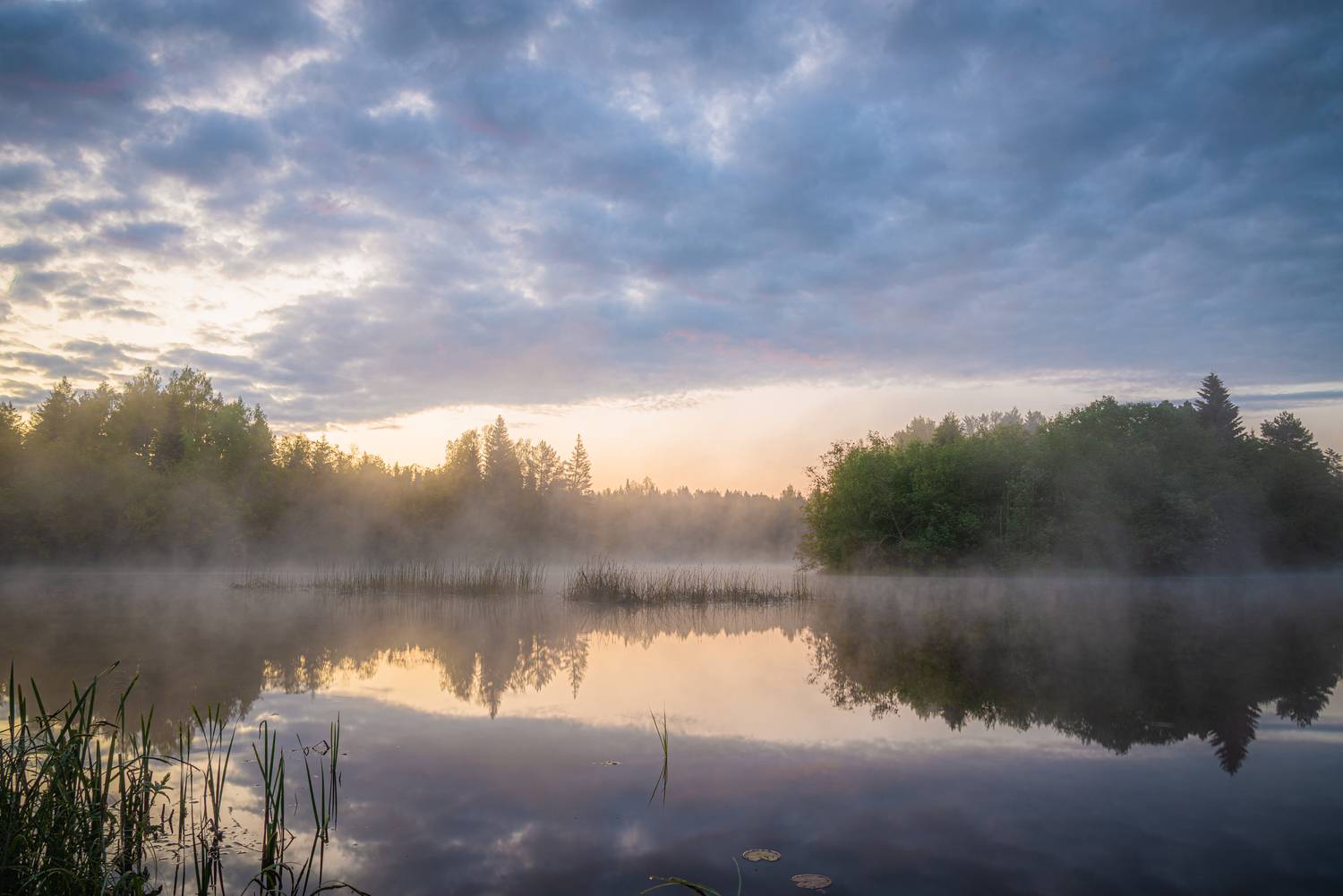 , Кокорин Алексей