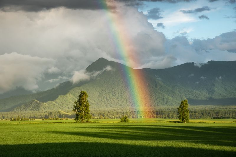 алтай, горный алтай, пейзажи алтая, усть-коксинский район, горы, летний алтай, уймонская долина, мульта, филаретка, филаретова гора, гора, радуга, уймонская степь Радуги Уймона фото превью