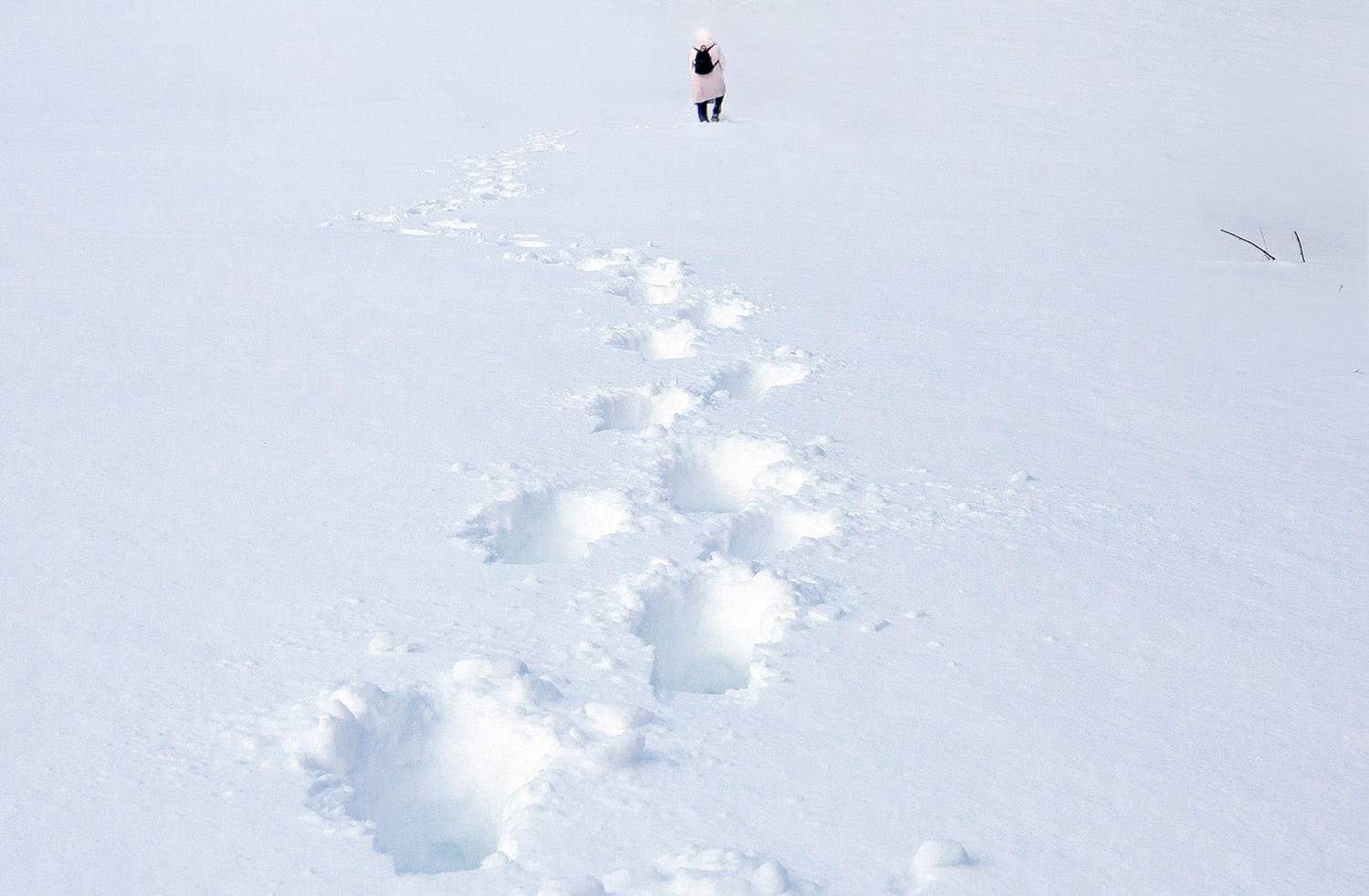 зима, снег, мороз, следы, Виктор Климкин